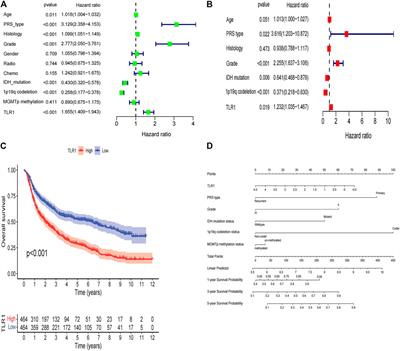 Methylation and Expression of the Exercise-Related TLR1 Gene Is Associated With Low Grade Glioma Prognosis and Outcome